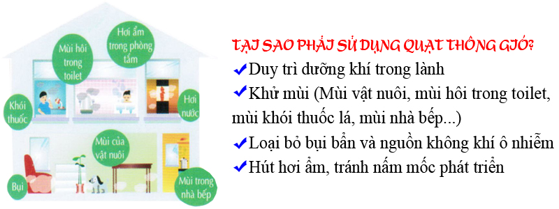 Quạt thông gió H08001