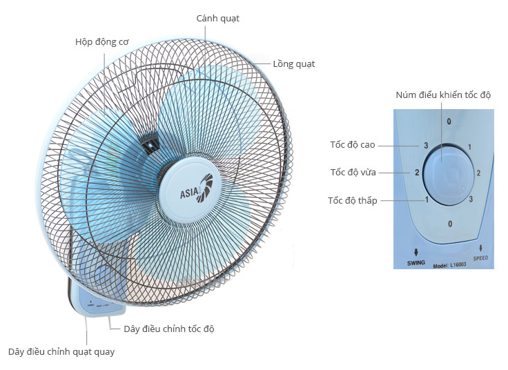 Quạt treo Asia L16003