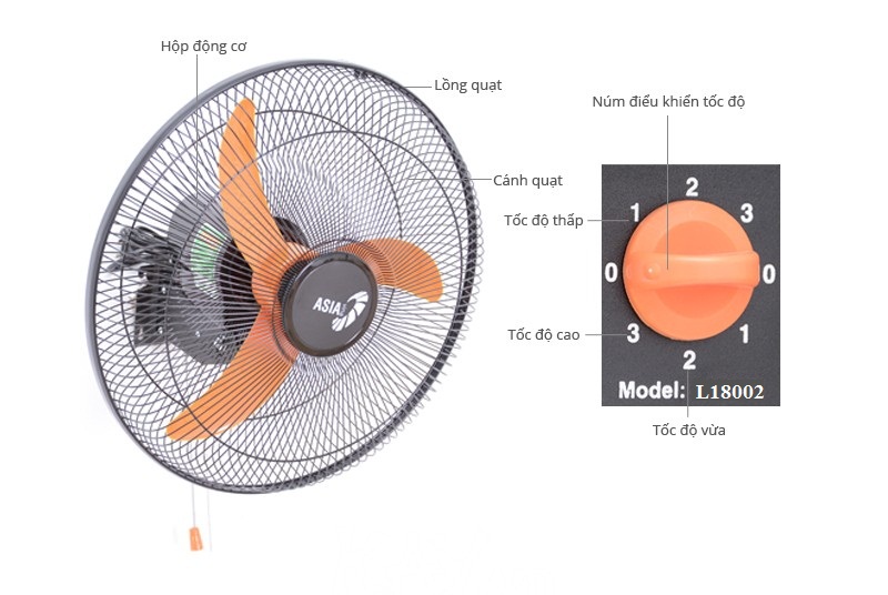 Quạt treo tường Asia L18002